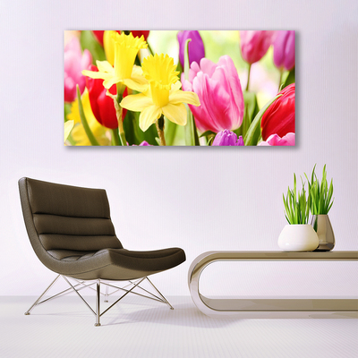 Quadro stampa su tela Fiori, piante, natura