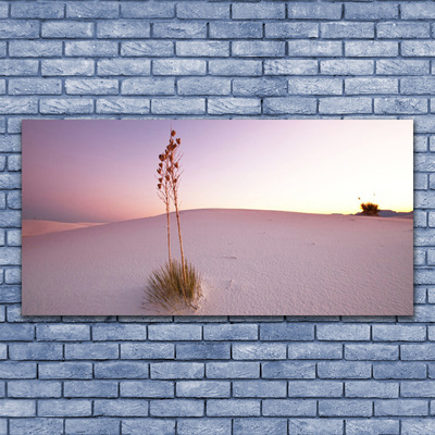 Quadro su tela Paesaggio di sabbia del deserto