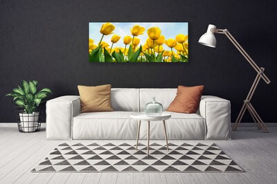 Quadro stampa su tela Tulipani, fiori, piante