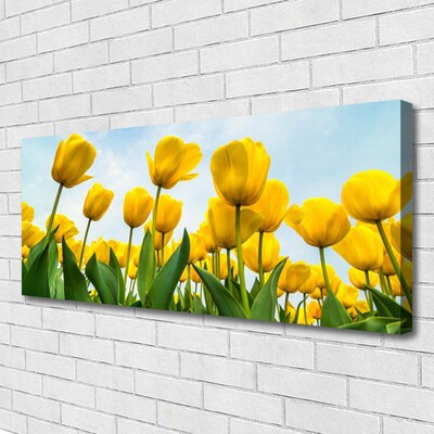 Quadro stampa su tela Tulipani, fiori, piante