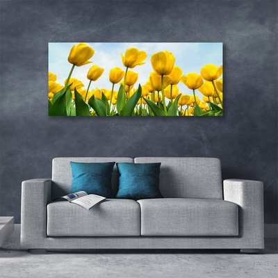 Quadro stampa su tela Tulipani, fiori, piante