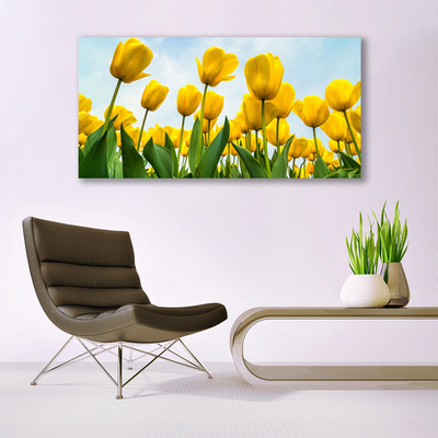 Quadro stampa su tela Tulipani, fiori, piante