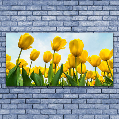 Quadro stampa su tela Tulipani, fiori, piante