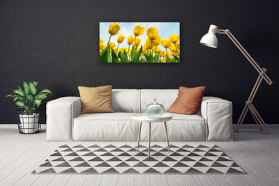 Quadro stampa su tela Tulipani, fiori, piante