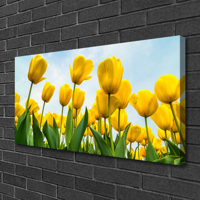 Quadro stampa su tela Tulipani, fiori, piante