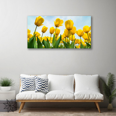 Quadro stampa su tela Tulipani, fiori, piante