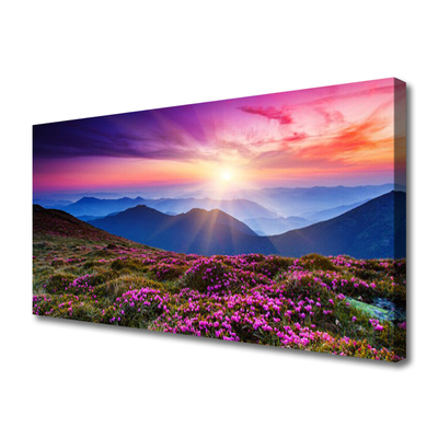 Quadro su tela Paesaggio del sole del prato di montagna