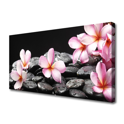 Quadro su tela Fiore di Plumeria sul muro