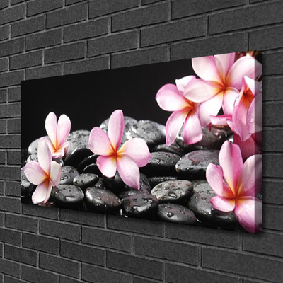 Quadro su tela Fiore di Plumeria sul muro