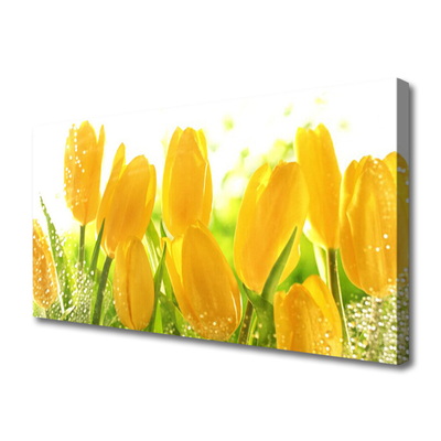 Quadro su tela Tulipani, fiori, piante