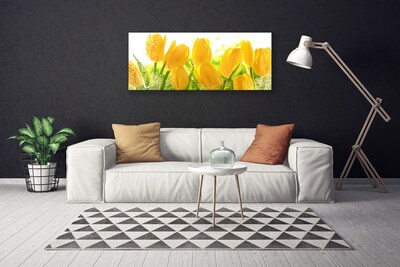 Quadro su tela Tulipani, fiori, piante