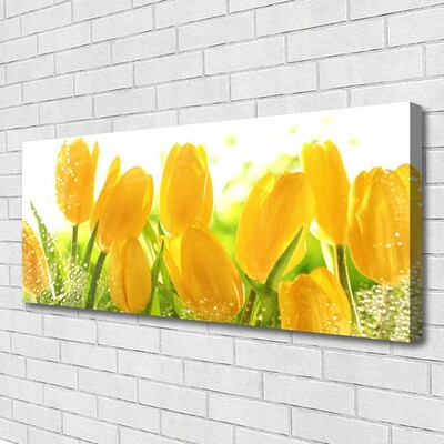 Quadro su tela Tulipani, fiori, piante