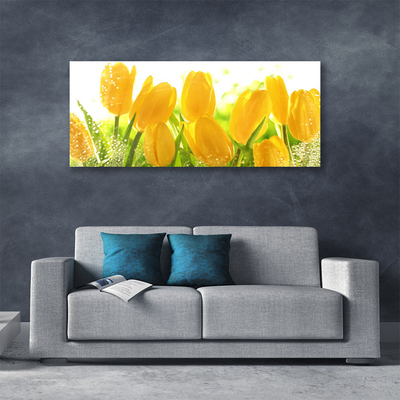 Quadro su tela Tulipani, fiori, piante