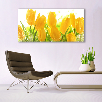 Quadro su tela Tulipani, fiori, piante