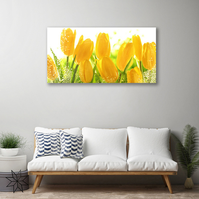 Quadro su tela Tulipani, fiori, piante