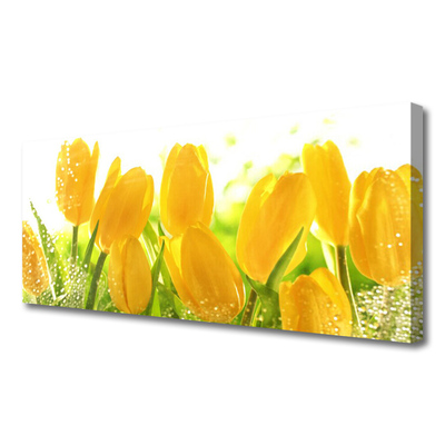 Quadro su tela Tulipani, fiori, piante