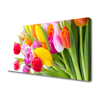 Quadro su tela Tulipani, fiori, piante