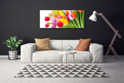 Quadro su tela Tulipani, fiori, piante