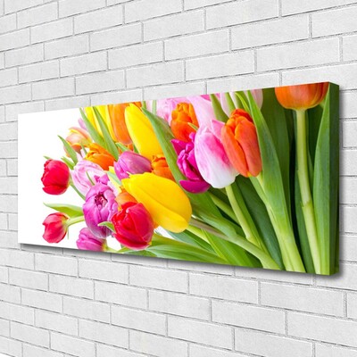 Quadro su tela Tulipani, fiori, piante