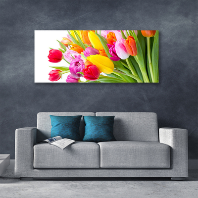 Quadro su tela Tulipani, fiori, piante