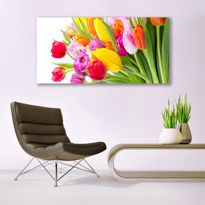 Quadro su tela Tulipani, fiori, piante