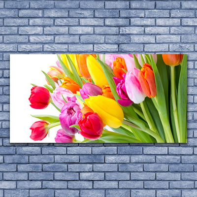 Quadro su tela Tulipani, fiori, piante