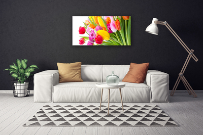 Quadro su tela Tulipani, fiori, piante