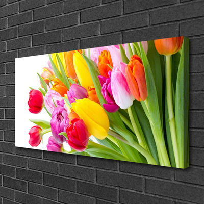 Quadro su tela Tulipani, fiori, piante