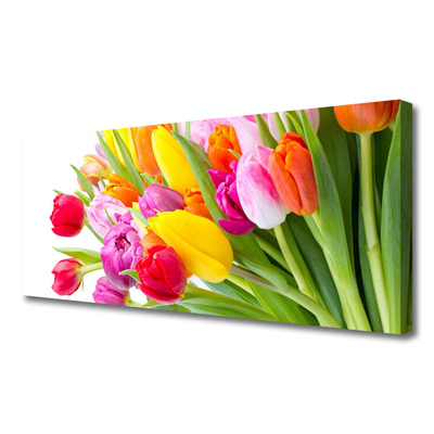 Quadro su tela Tulipani, fiori, piante