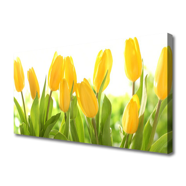 Quadro su tela Tulipani, fiori, piante