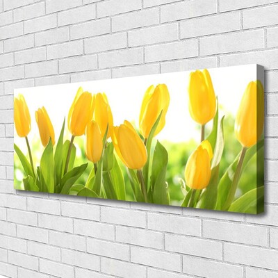 Quadro su tela Tulipani, fiori, piante