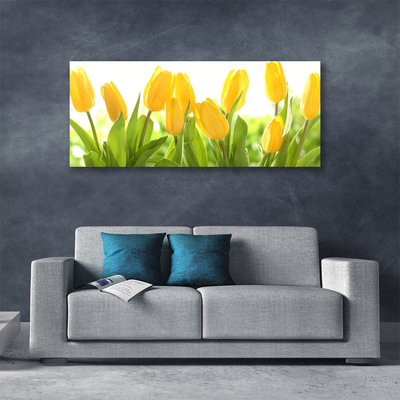 Quadro su tela Tulipani, fiori, piante