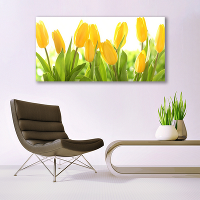 Quadro su tela Tulipani, fiori, piante