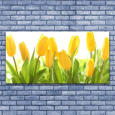 Quadro su tela Tulipani, fiori, piante