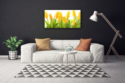 Quadro su tela Tulipani, fiori, piante