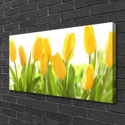 Quadro su tela Tulipani, fiori, piante