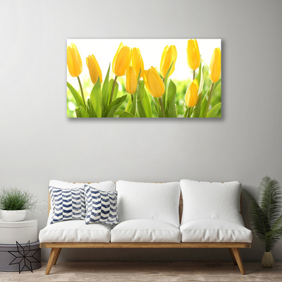 Quadro su tela Tulipani, fiori, piante