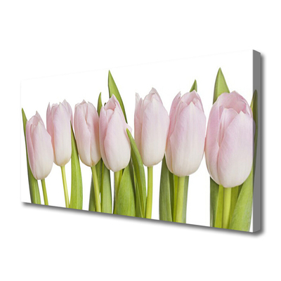 Quadro su tela Tulipani, fiori, piante