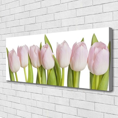 Quadro su tela Tulipani, fiori, piante