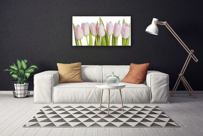 Quadro su tela Tulipani, fiori, piante