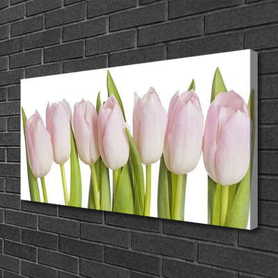 Quadro su tela Tulipani, fiori, piante