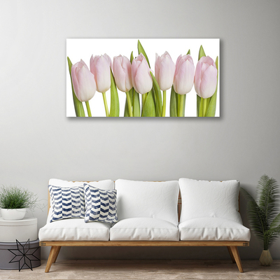 Quadro su tela Tulipani, fiori, piante