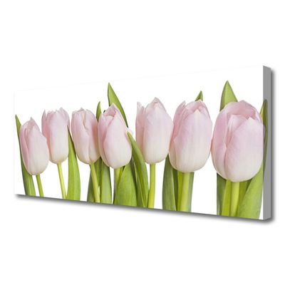 Quadro su tela Tulipani, fiori, piante