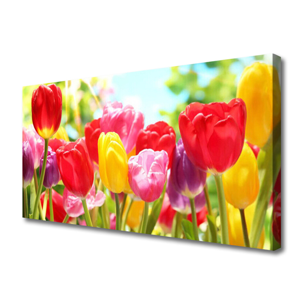 Quadro su tela Tulipani, fiori, piante