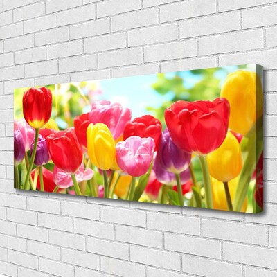 Quadro su tela Tulipani, fiori, piante