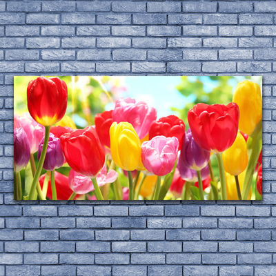 Quadro su tela Tulipani, fiori, piante