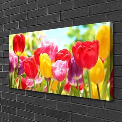 Quadro su tela Tulipani, fiori, piante