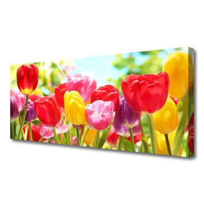 Quadro su tela Tulipani, fiori, piante