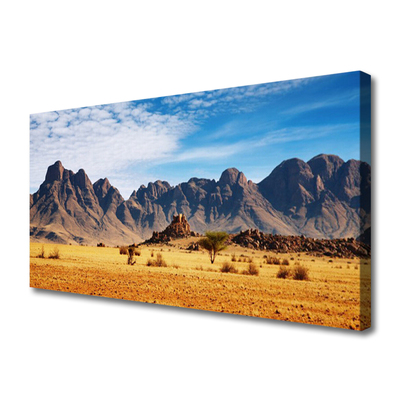 Quadro su tela Paesaggio delle montagne del deserto