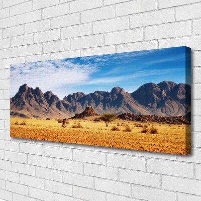 Quadro su tela Paesaggio delle montagne del deserto